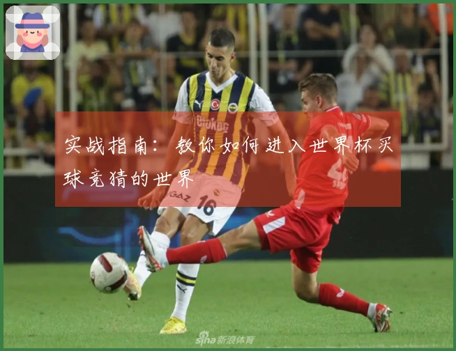 实战指南：教你如何进入世界杯买球竞猜的世界