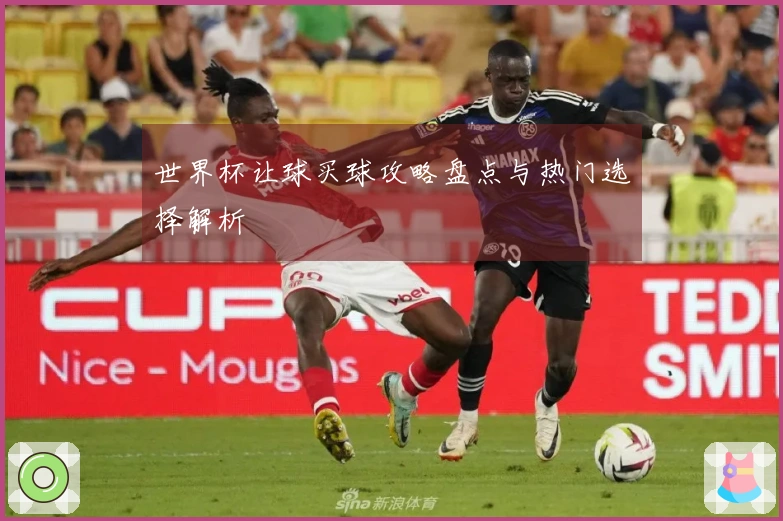 世界杯让球买球攻略盘点与热门选择解析