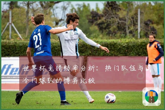 世界杯竞猜赔率分析：热门队伍与冷门球队的博弈比较