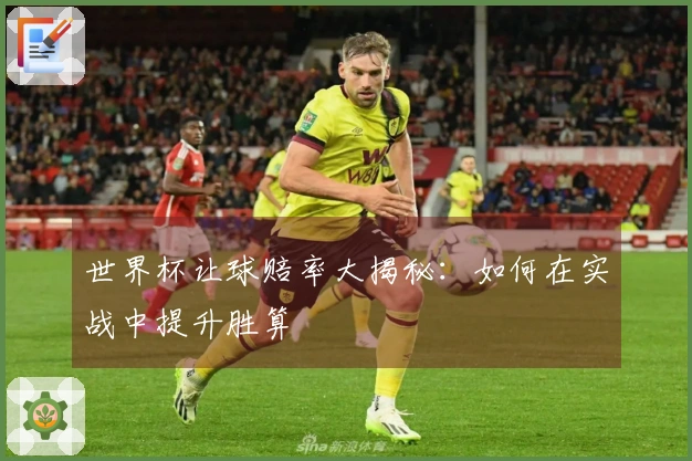 世界杯让球赔率大揭秘：如何在实战中提升胜算