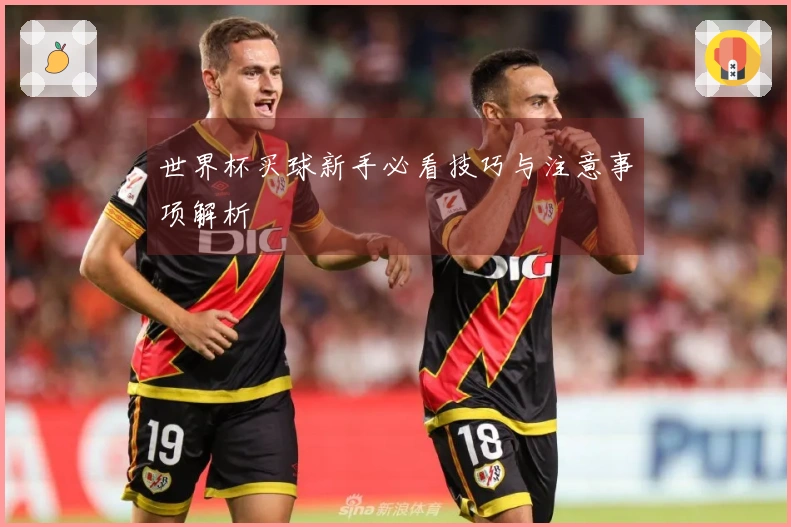 世界杯买球新手必看技巧与注意事项解析