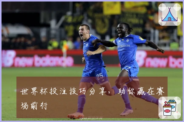 世界杯投注技巧分享，助你赢在赛场前行