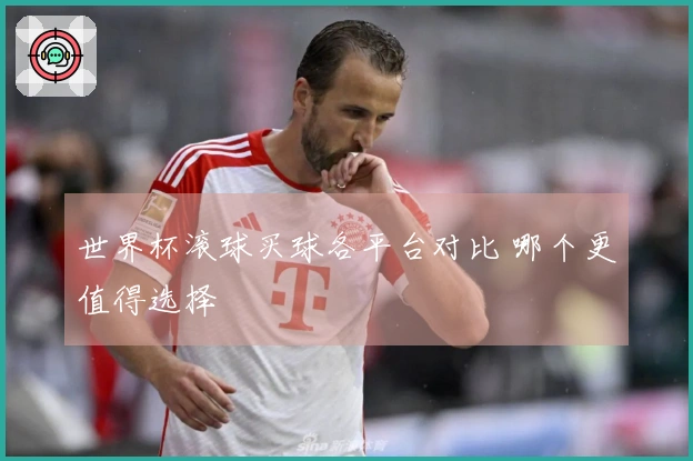 世界杯滚球买球各平台对比 哪个更值得选择